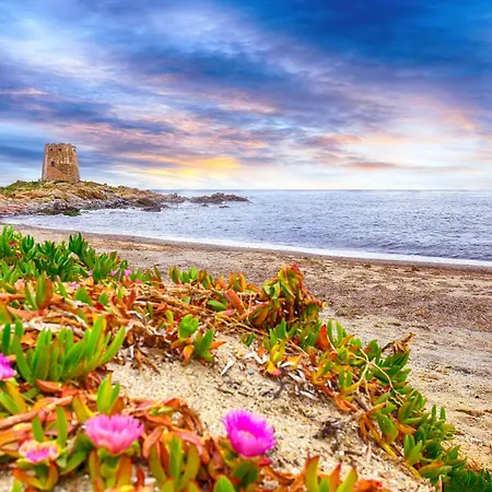 La Corte Della Pavoncella Apartamento Bari Sardo